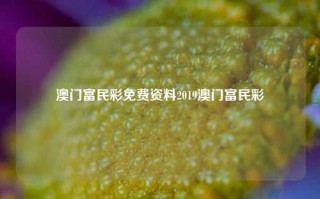 澳门富民彩免费资料2019澳门富民彩