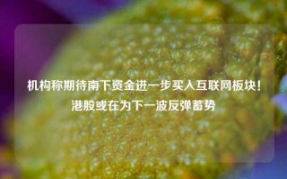 机构称期待南下资金进一步买入互联网板块！港股或在为下一波反弹蓄势