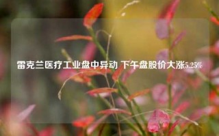 雷克兰医疗工业盘中异动 下午盘股价大涨5.25%