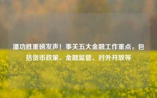 潘功胜重磅发声！事关五大金融工作重点，包括货币政策、金融监管、对外开放等