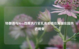 特朗普与Meta首席执行官扎克伯格在海湖庄园共进晚餐