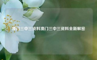 澳门三中三资料澳门三中三资料全新解密