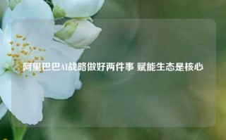 阿里巴巴AI战略做好两件事 赋能生态是核心