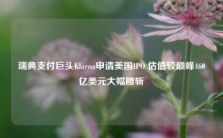 瑞典支付巨头Klarna申请美国IPO 估值较巅峰460亿美元大幅腰斩