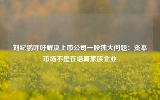 刘纪鹏呼吁解决上市公司一股独大问题：资本市场不是在培育家族企业