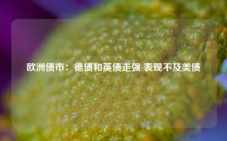 欧洲债市：德债和英债走强 表现不及美债