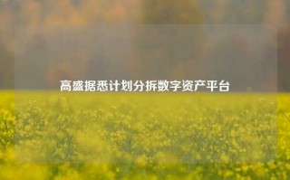 高盛据悉计划分拆数字资产平台