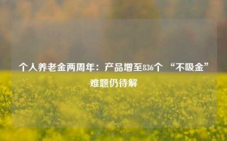 个人养老金两周年：产品增至836个 “不吸金”难题仍待解