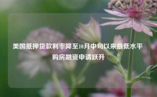 美国抵押贷款利率降至10月中旬以来最低水平 购房融资申请跃升