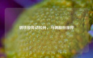 钢铁股异动拉升，马钢股份涨停