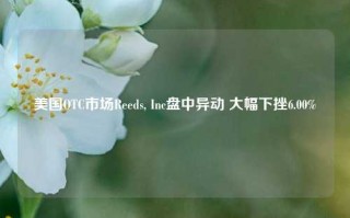 美国OTC市场Reeds, Inc盘中异动 大幅下挫6.00%