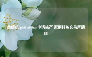 美廉航Spirit Airlines申请破产 近期将被交易所摘牌