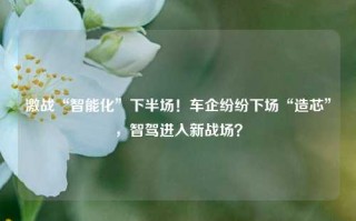 激战“智能化”下半场！车企纷纷下场“造芯”，智驾进入新战场？