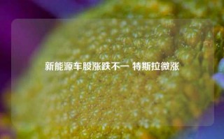 新能源车股涨跌不一 特斯拉微涨