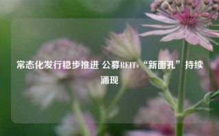 常态化发行稳步推进 公募REITs“新面孔”持续涌现