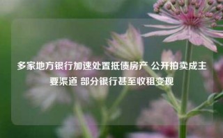 多家地方银行加速处置抵债房产 公开拍卖成主要渠道 部分银行甚至收租变现