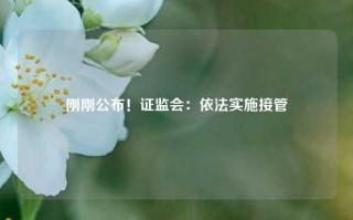 刚刚公布！证监会：依法实施接管