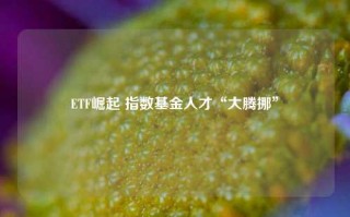 ETF崛起 指数基金人才“大腾挪”