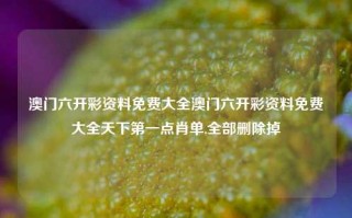 澳门六开彩资料免费大全澳门六开彩资料免费大全天下第一点肖单,全部删除掉