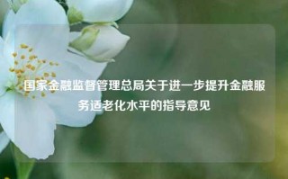 国家金融监督管理总局关于进一步提升金融服务适老化水平的指导意见