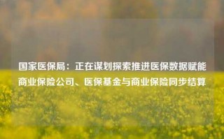 国家医保局：正在谋划探索推进医保数据赋能商业保险公司、医保基金与商业保险同步结算