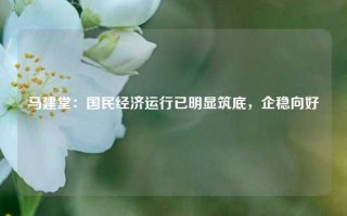 马建堂：国民经济运行已明显筑底，企稳向好