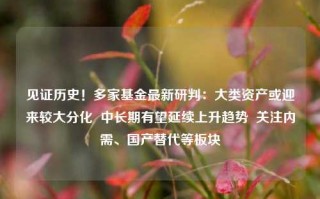 见证历史！多家基金最新研判：大类资产或迎来较大分化  中长期有望延续上升趋势  关注内需、国产替代等板块