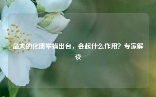 最大的化债举措出台，会起什么作用？专家解读