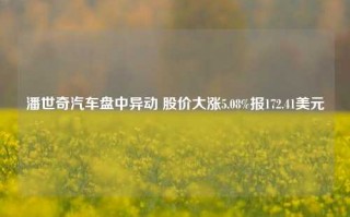 潘世奇汽车盘中异动 股价大涨5.08%报172.41美元