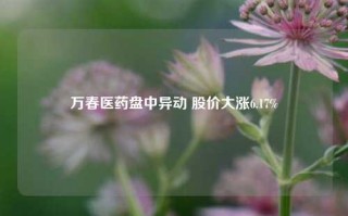 万春医药盘中异动 股价大涨6.17%