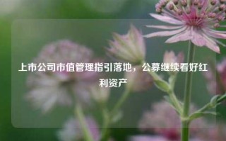 上市公司市值管理指引落地，公募继续看好红利资产