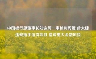 中国银行原董事长刘连舸一审被判死缓 曾大肆违规插手信贷项目 造成重大金融风险