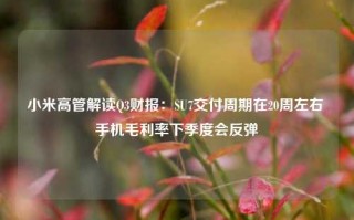 小米高管解读Q3财报：SU7交付周期在20周左右 手机毛利率下季度会反弹