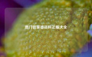 澳门管家婆资料正版大全