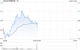 哔哩哔哩-W12月6日斥资300万美元回购15.63万股