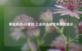 黄金连续6日重挫 上金所连续发布风险提示