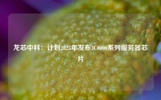 龙芯中科：计划2025年发布3C6000系列服务器芯片