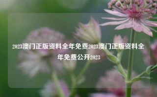 2023澳门正版资料全年免费2023澳门正版资料全年免费公开2023