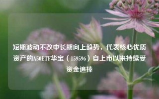 短期波动不改中长期向上趋势，代表核心优质资产的A50ETF华宝（159596）自上市以来持续受资金追捧