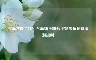 买车才能合作？汽车博主胡永平炮轰车企营销潜规则