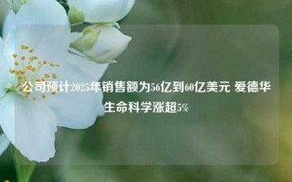 公司预计2025年销售额为56亿到60亿美元 爱德华生命科学涨超5%