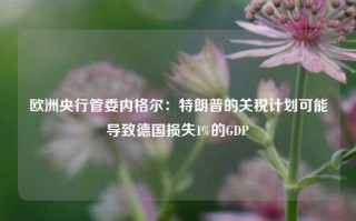 欧洲央行管委内格尔：特朗普的关税计划可能导致德国损失1%的GDP