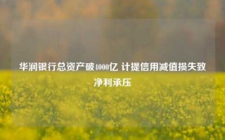 华润银行总资产破4000亿 计提信用减值损失致净利承压