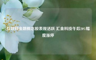 互联网金融概念股表现活跃 汇金科技午后20%幅度涨停