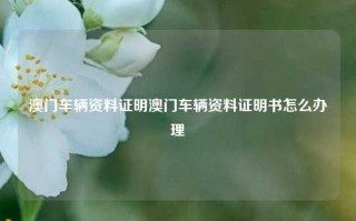 澳门车辆资料证明澳门车辆资料证明书怎么办理