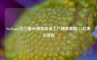 Stellantis与三星SDI电池合资工厂将获美国75.4亿美元贷款