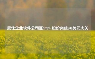 尼仕企业软件公司涨3.75% 股价突破200美元大关