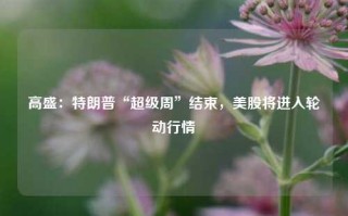 高盛：特朗普“超级周”结束，美股将进入轮动行情