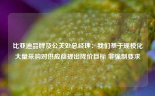 比亚迪品牌及公关处总经理：我们基于规模化大量采购对供应商提出降价目标 非强制要求