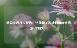 德国央行行长警告：特朗普关税计划可能使德国GDP损失1%